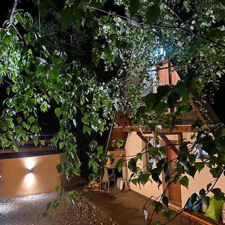 Vikendica Stojanovic Villa Mionica Buitenkant foto