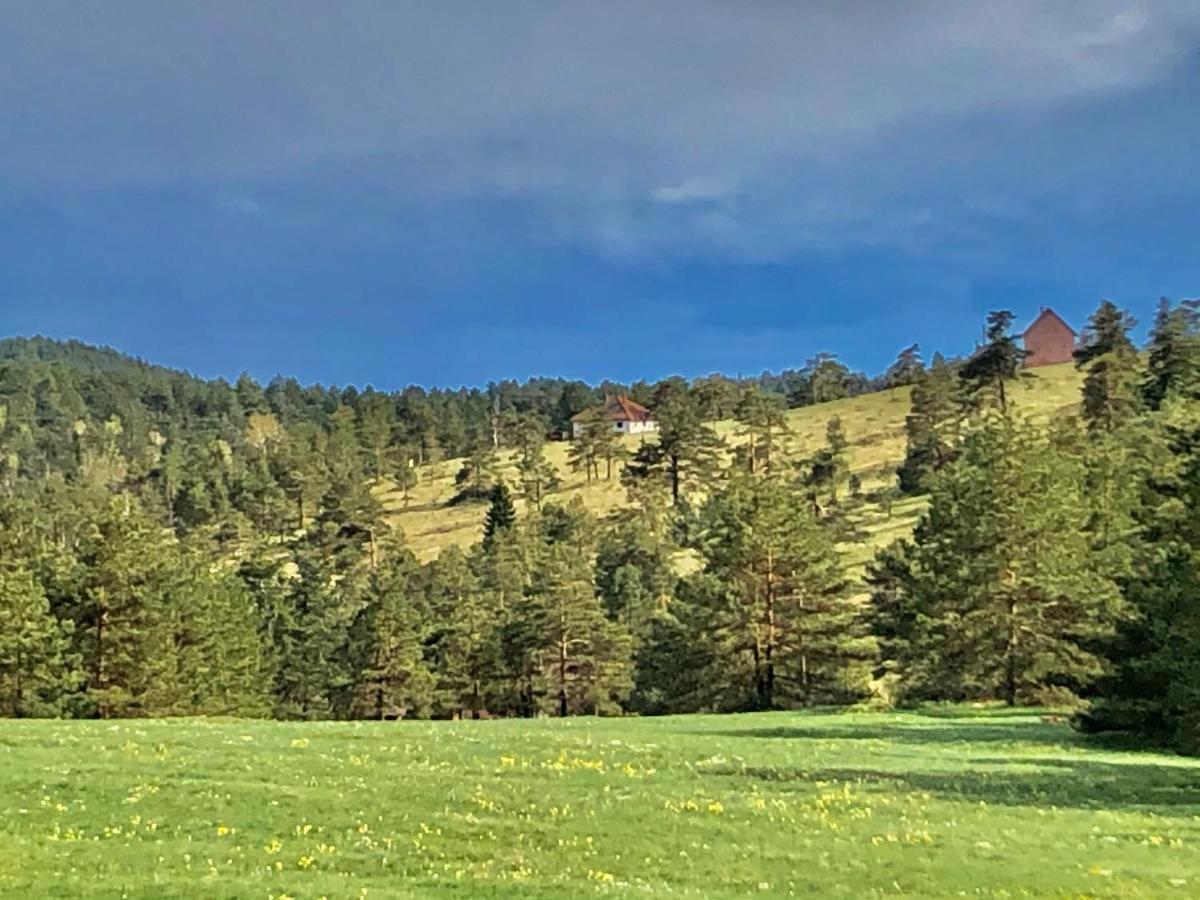 Vikendica Stojanovic Villa Mionica Buitenkant foto