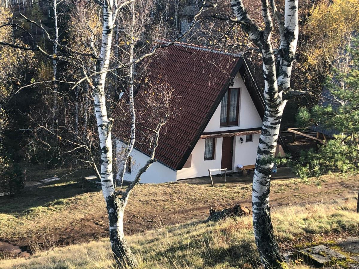 Vikendica Stojanovic Villa Mionica Buitenkant foto