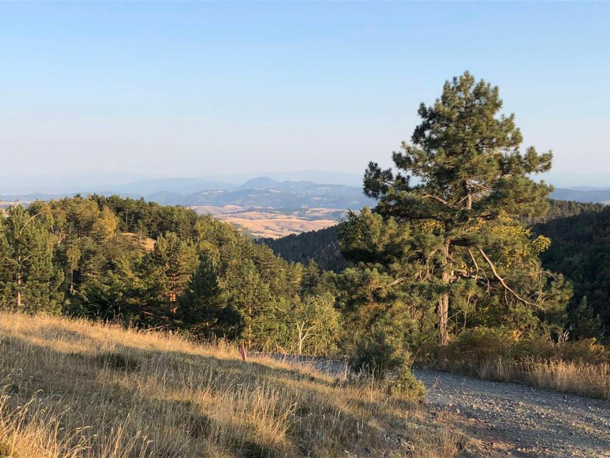 Vikendica Stojanovic Villa Mionica Buitenkant foto