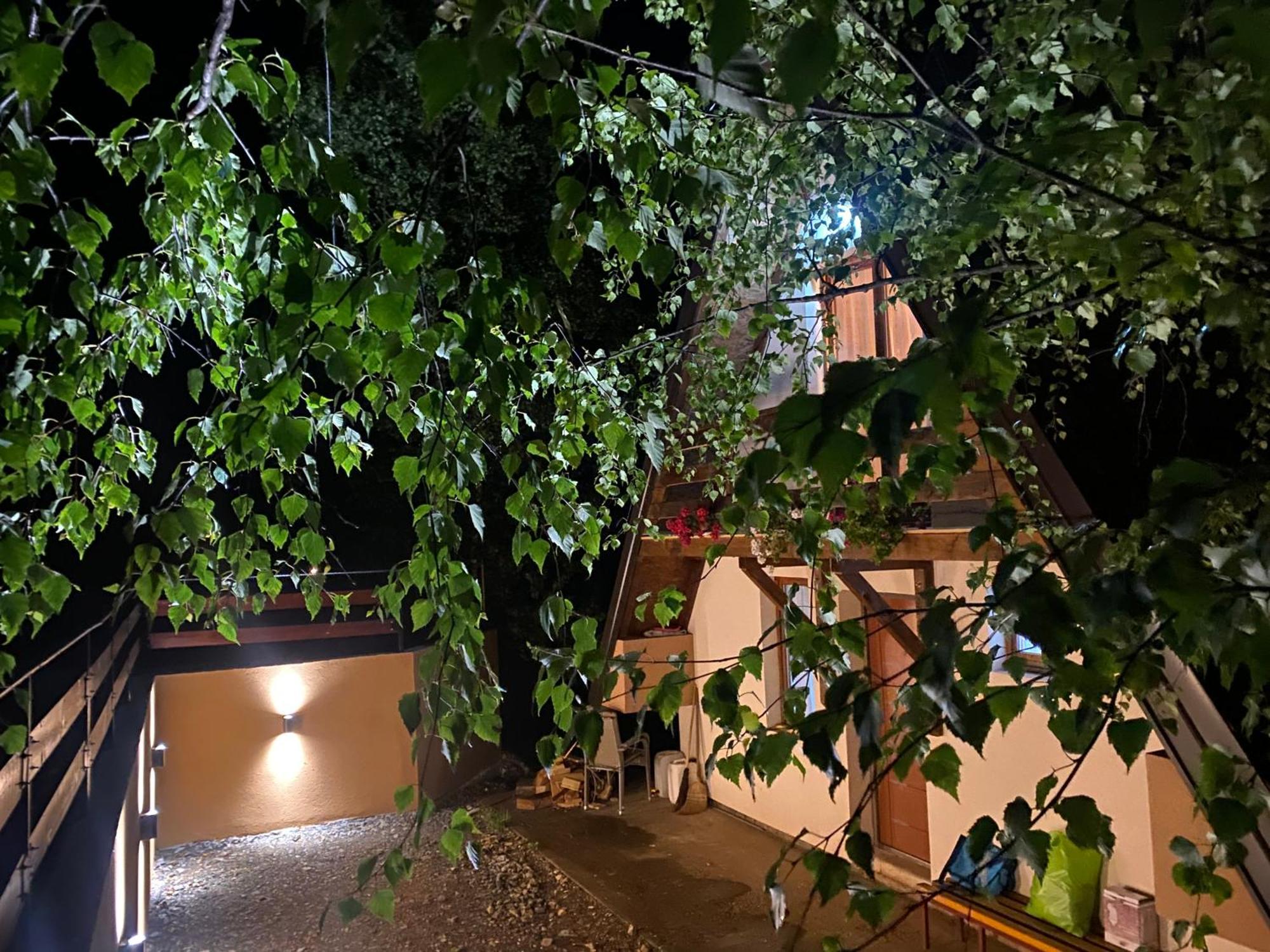 Vikendica Stojanovic Villa Mionica Buitenkant foto
